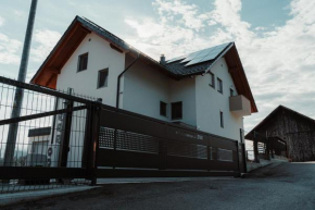 Apartmaji Laznik